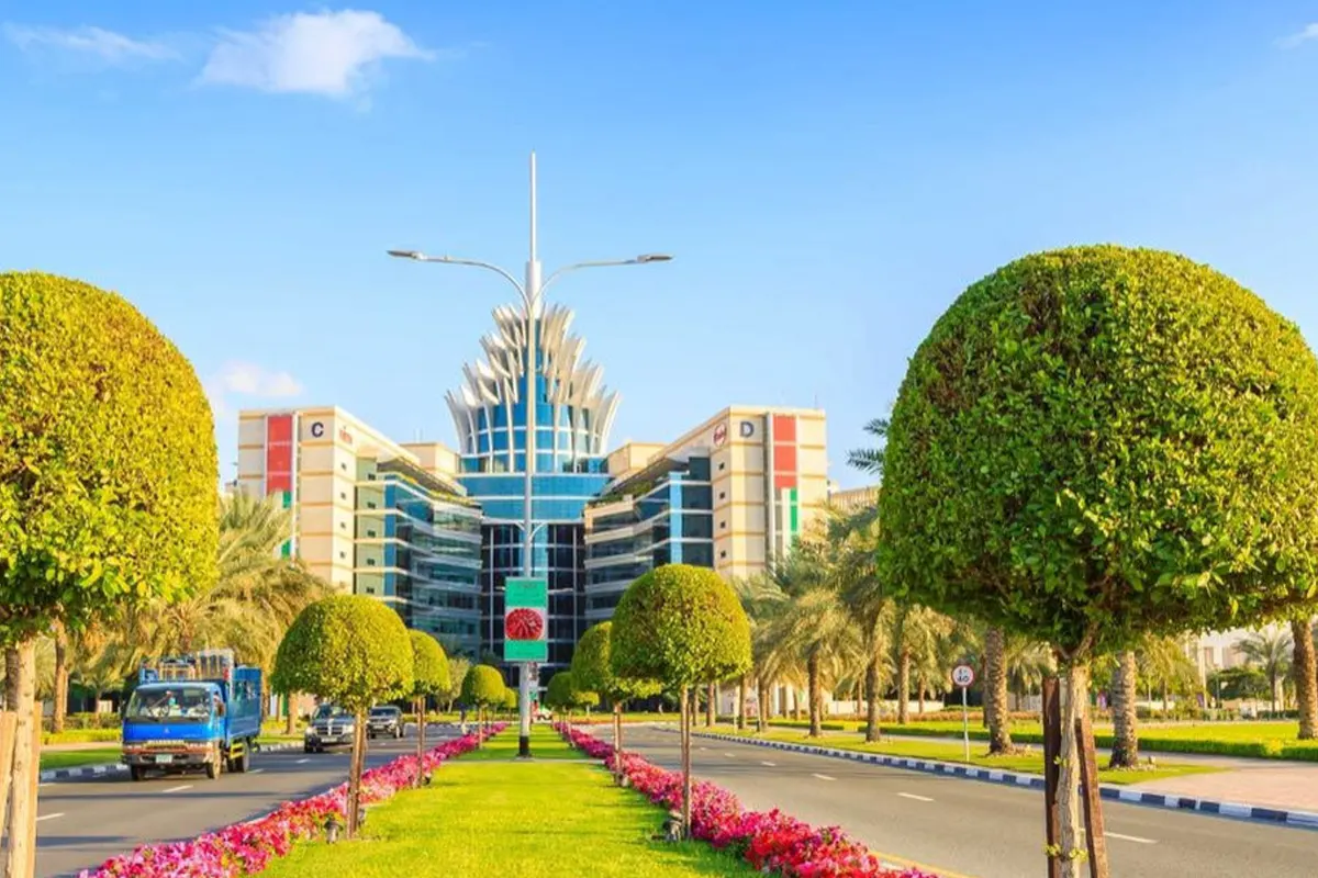 Dubai Silicon Oasis Gallery