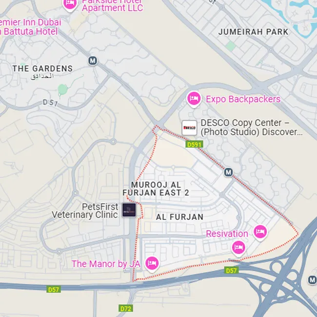 Al Furjan Location