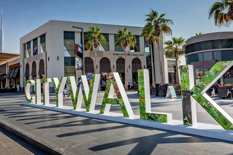 City Walk Image