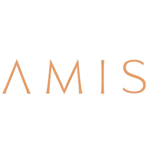 AMIS Development