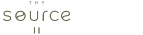 The Source 2 Logo