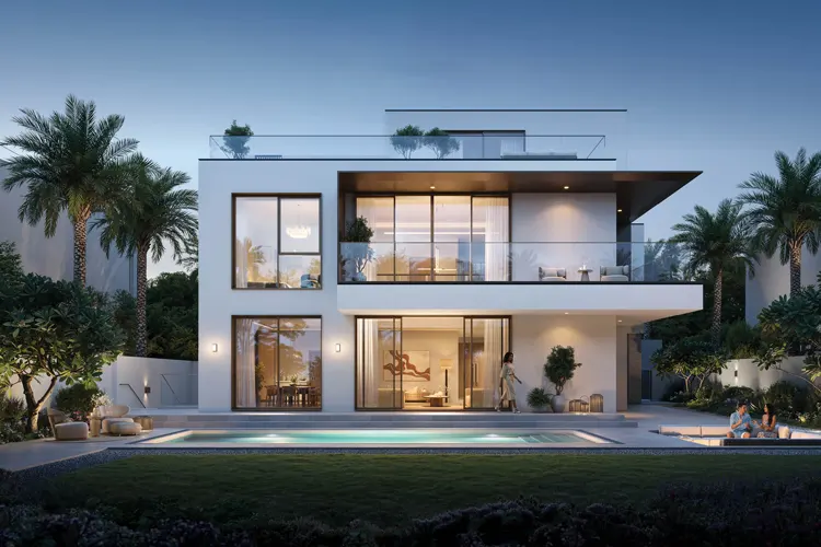 Palmiera Collective at The Oasis